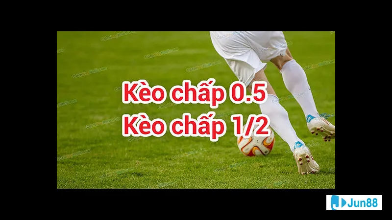 Kinh nghiệm đặt kèo nửa trái